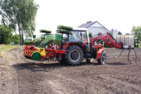 KARUSELPLANTERE